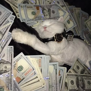 黄色三级学生阴蒂性交美女
